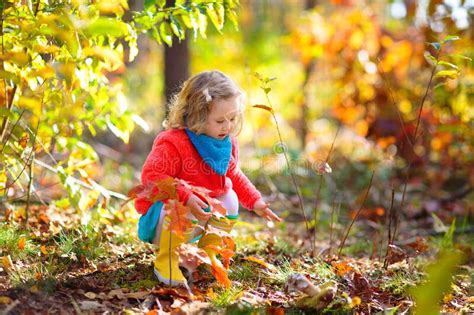 421 Little Kids Playing Woods Autumn Stock Photos Free And Royalty Free