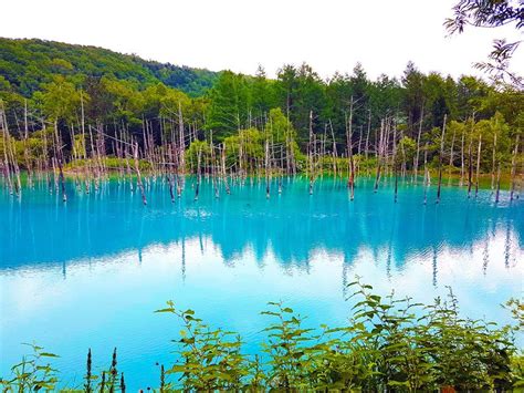 Snapshot Exploring The Blue Pond In Biei Hokkaido Japan Travel