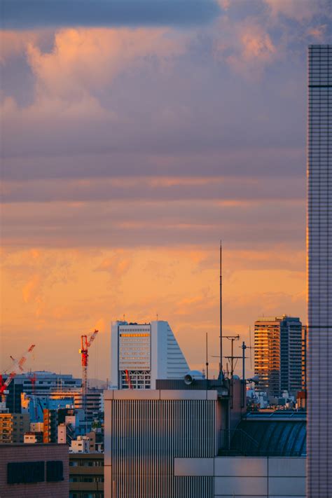 sleepless in tokyo — why does the scenery of a town that no longer