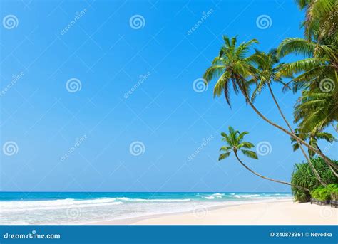Idyllic Tropical Beach With Clean White Ocean Sand And Palm Trees Stock