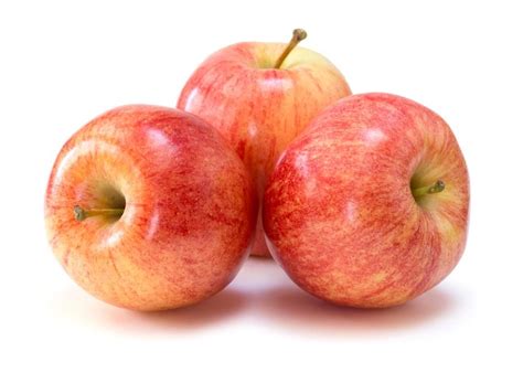 Gala Apple Tree Gala Apples Apple Fruit