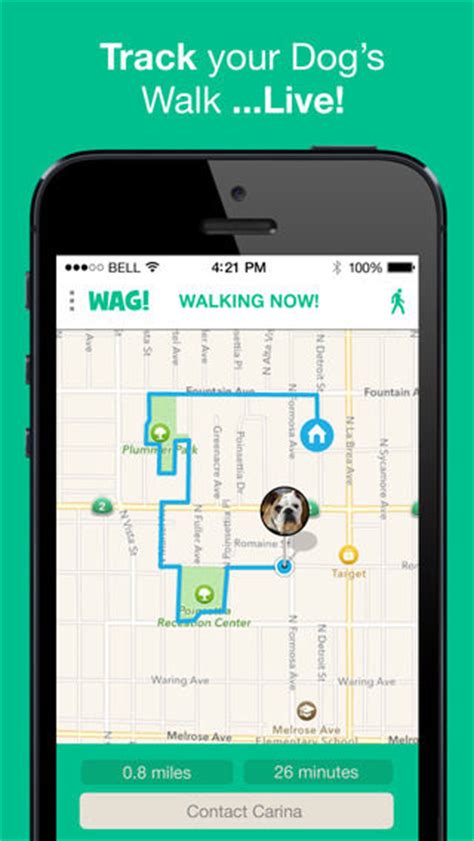 The more popular the app, the greater chance you have of finding dog walkers near you. Dog Exercising Apps : Wag dog walking app