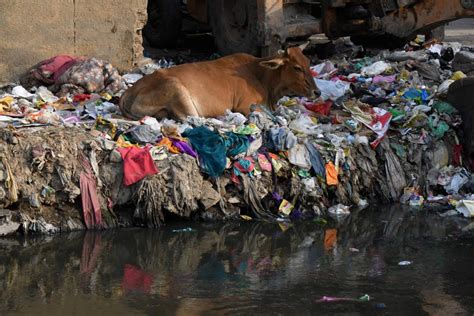 Plastic pollution prepared for : Delhi slum drowning in plastic as Environment Day focuses ...