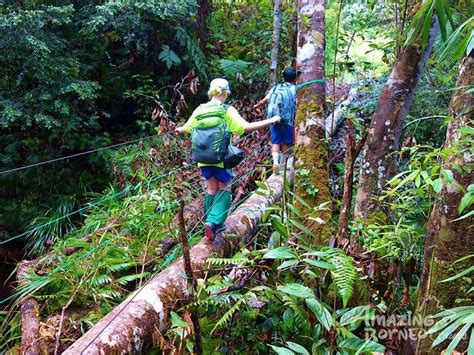 38 (law of the jungle in sabah 5). Borneo Jungle Trek - 4D3N Maliau Basin (Sabah's Lost World ...