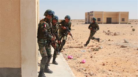 مقتل ضابط و4 جنود من الجيش المصري خلال عمليات ضد إرهابيين في سيناء