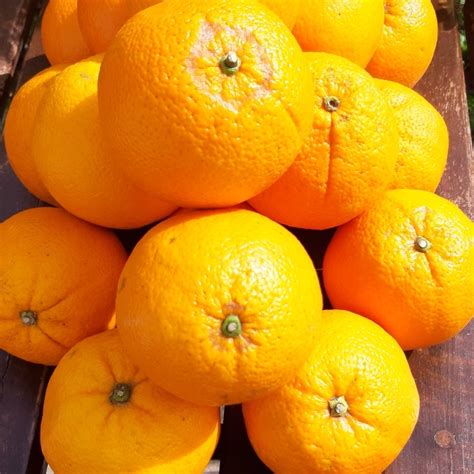 Orange Du Portugal Kilo Légumes Plus