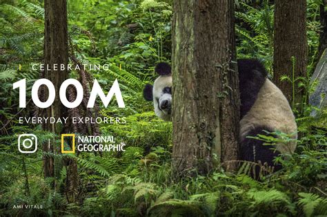 National Geographic Community Propels Natgeo Instagram Account To