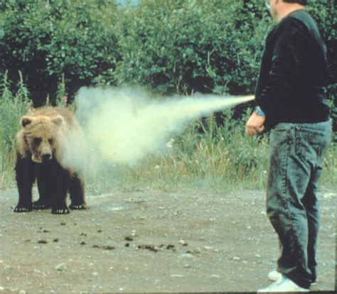 Bear Spray Practice Montana Hunting And Fishing Information