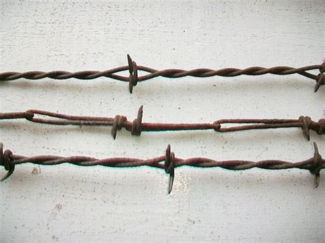 Antique Barbed Wire 3 Pieces 1800s Barbwire Bobbed Wire Devils Rope