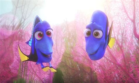 The film is a sequel to 2003's finding nemo, and this time centers around everyone's … western animation / finding dory. Finding Dory Review - Disney Tourist Blog