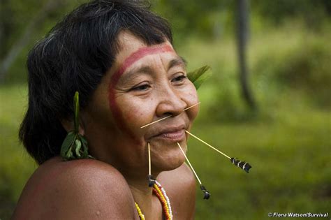 indígenas de brasil survival international