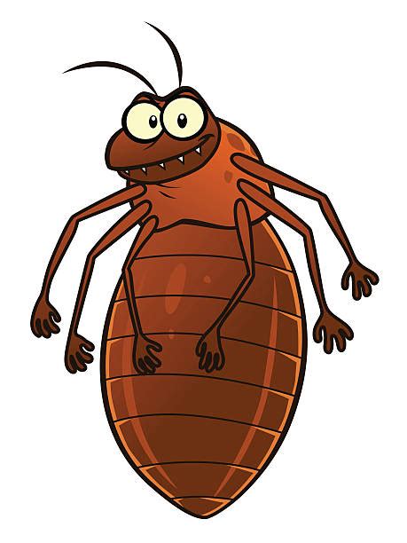 Bed Bugs Cartoon Vector Clipart Friendlystock Ph