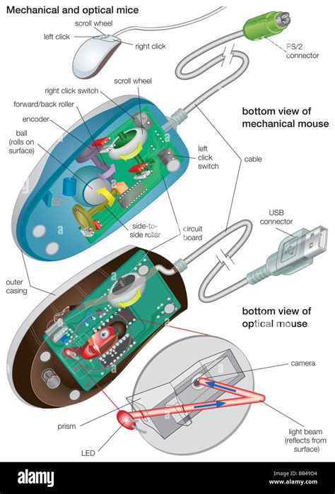 The Bottom Views Of A Mechanical And An Optical Mouse Detailing Their