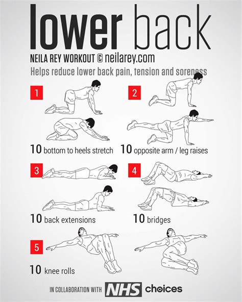 Lower Back Lower Back Exercises Back Exercises Back Workout