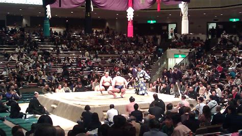 Tips For Watching Sumo Wrestling In Japan The Travel Sisters