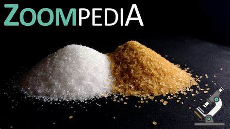 Sugar Under The Microscope Zoompedia Youtube