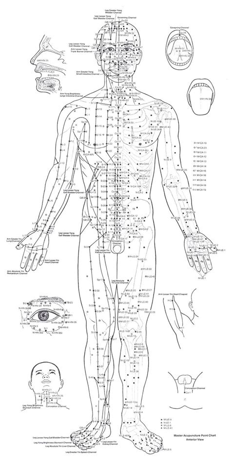 Acupuncture Points Chart Point Acupuncture Acupuncture Benefits