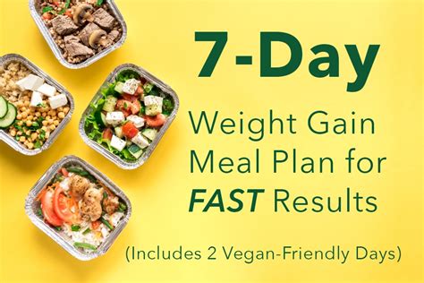Best Budget Friendly Weight Gain Meal Plan 2023 Atonce