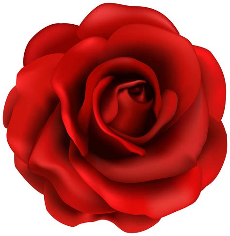 Explore similar flowers vector, clipart, realistic png images on png arts. Red Rose Flower PNG Clipart Image | Gallery Yopriceville ...