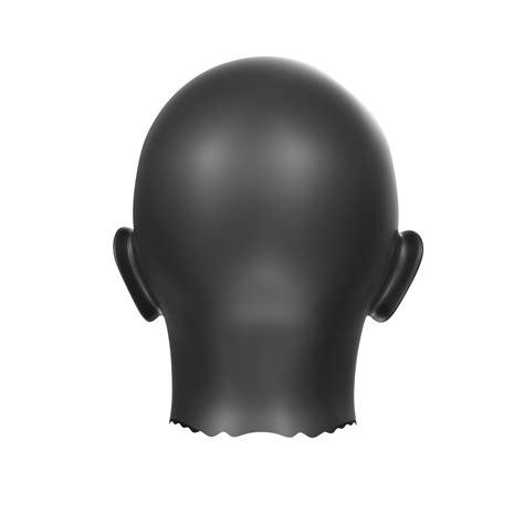3d Rendering Of Human Bust 18065993 Png