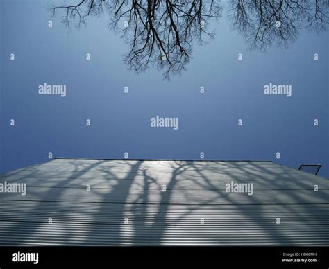 Tree Branches Casting Shadow Hi Res Stock Photography And Images Alamy