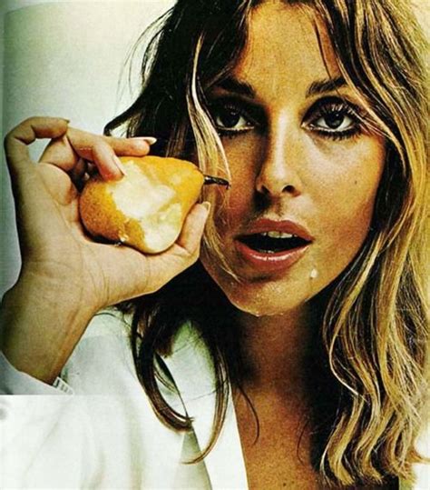 Pin By Brittany Mucy On Photography Sharon Tate Tate Sharon