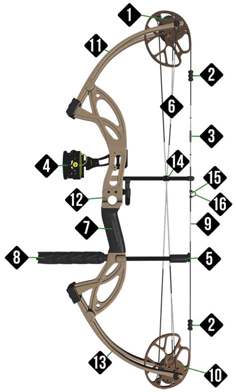 What Are The Parts Of A Bow Called