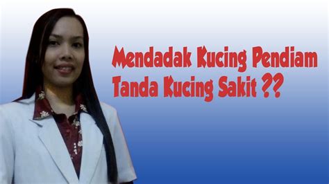 Semua jenis kucing baik peliharaan atau liar hampir selalu rentan terhadap serangan penyakit ini. Mendadak kucing pendiam ?? Awas tanda kucing sakit!! - YouTube