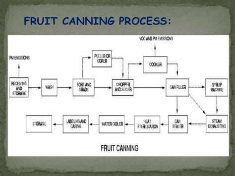 Fruit Canning Process