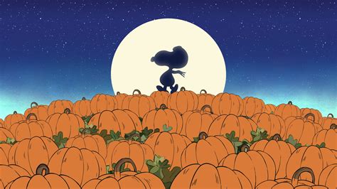 Its The Great Pumpkin Charlie Brown 1966 Backdrops — The Movie
