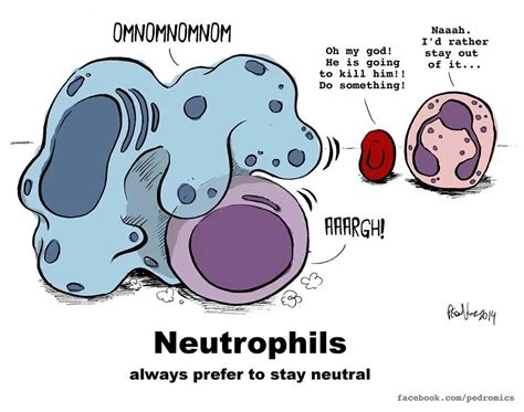 Neutrophils Science Humor Biology Biology Humor Biology Drawing