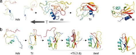 Characterization Of Protein Folding Pathways By Reduced Space Modeling