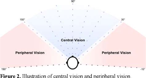 Pdf Introducing Peripheral Awareness As A Neurological State For