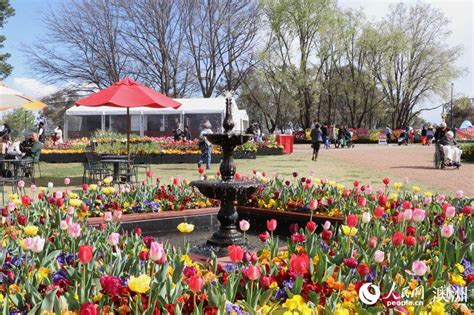 Canberra Blooms Australias Biggest Celebration Of Spring 8 People