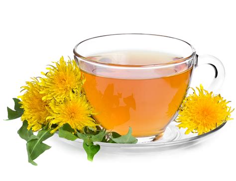 DANDELION TEA | TCM World