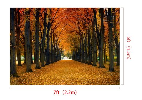 Greendecor Polyester Fabric 7x5ft Autumn Photography Backdrops Forest