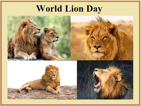 World Lion Day 2022 Theme History Significance And More