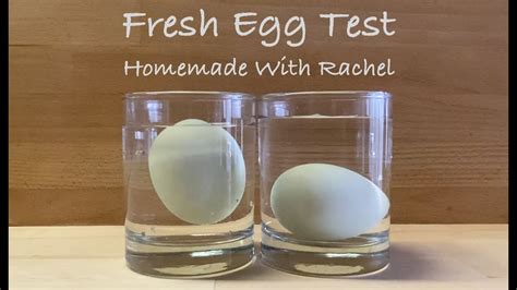 Fresh Egg Test Sink Or Float Youtube