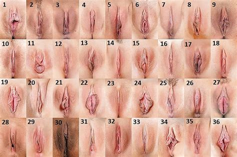 Diffent Types Ofvagina My XXX Hot Girl