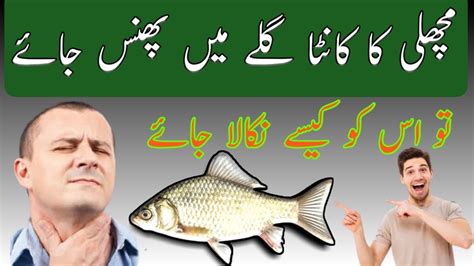 How To Remove Fish Bone Stuck In Throat At Home Desi Remedy Fish Ka
