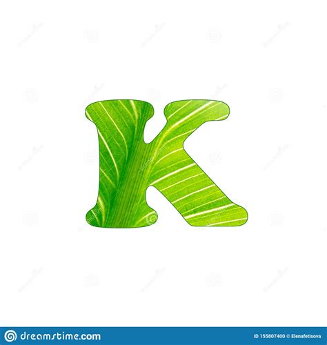 The Green Plant Letter K Letters Cut Of The Background Of Green Sheet