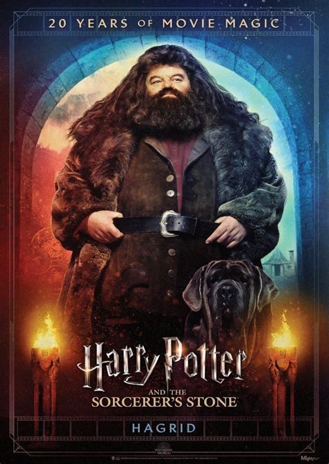 Harry Potter Th Anniversary Hagrid Mightyprint Wall Art Mp