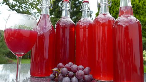 Traubensaft selber machen So funktioniert es ohne spezielle Geräte