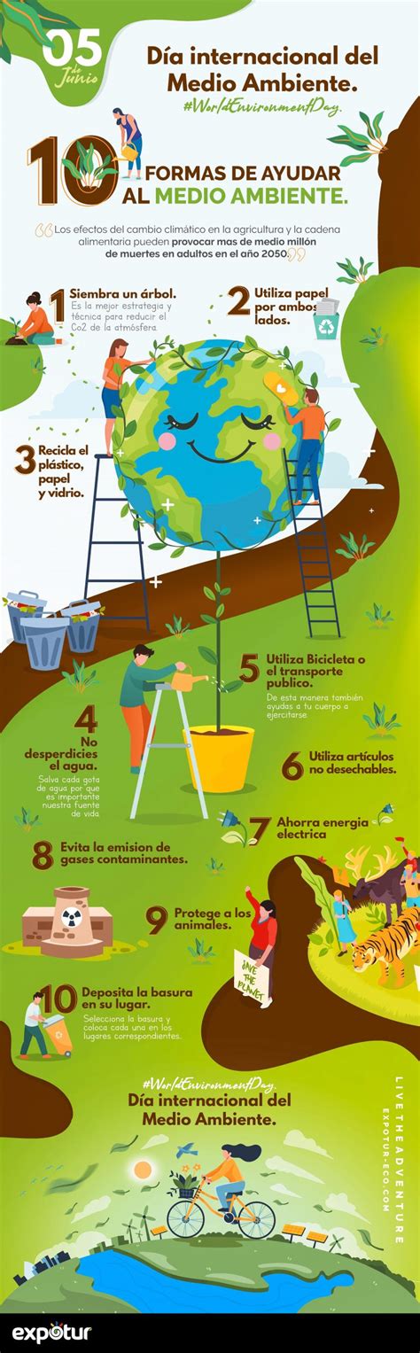 10 Formas De Ayudar Al Medio Ambiente Día Mundial Del Medio Ambiente