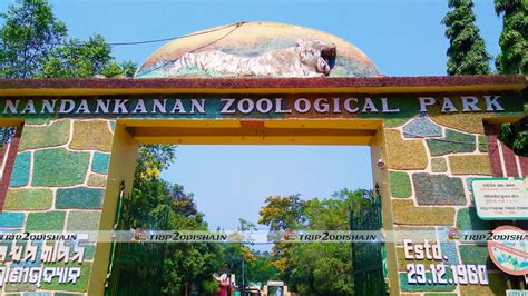 Nandankanan Best Zoological Park In Odisha 2nd Biggest Zoo In India