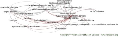 Hyperkeratosis Lenticularis Perstans Disease Malacards Research