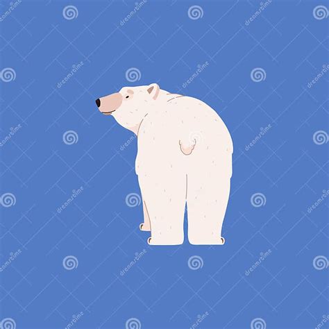 Cute Polar Bear Standing Back Showing Tail Cartoon Flat Vector