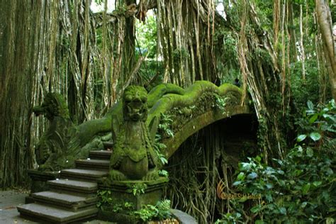 Ubud Monkey Forest Bali Places Of Interest