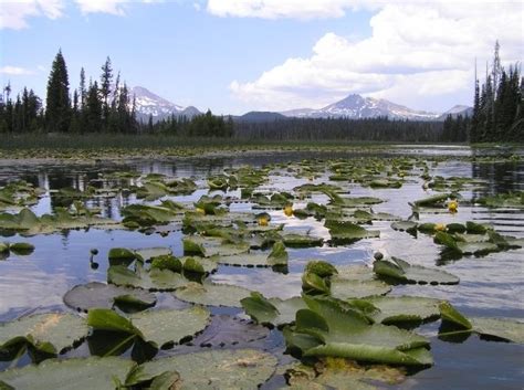 Hosmer Lake Places To See Natural Landmarks Lake