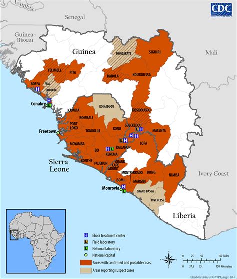 Eleven cases were reported, including these four cases and seven cases medically evacuated from other countries. » Ebola: What Is It and What Do You Have to Worry About ...